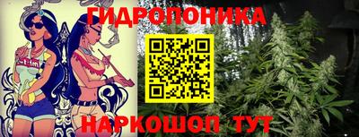крисы Будённовск