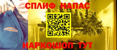 крисы Будённовск