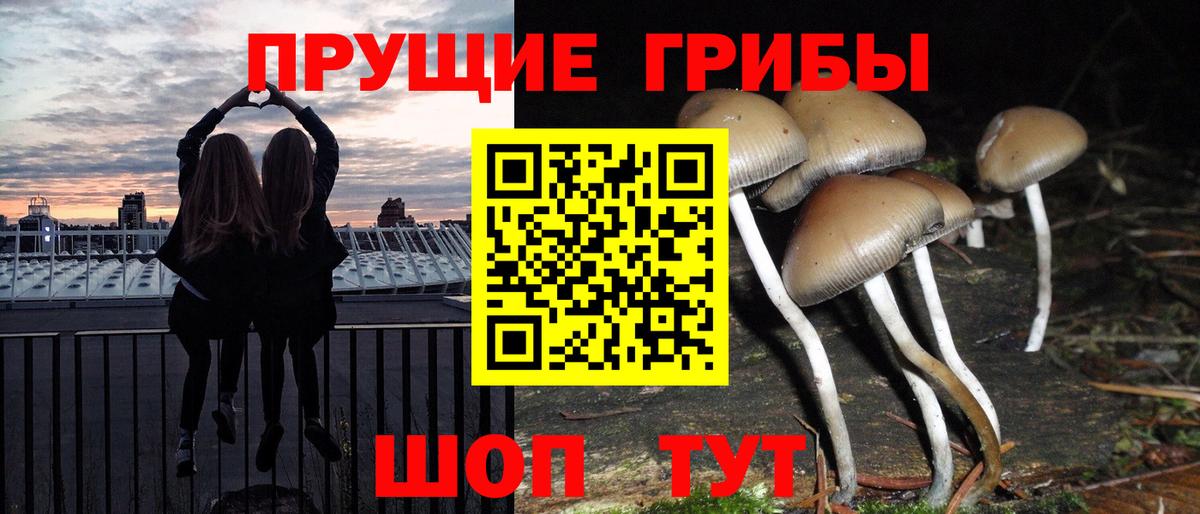 Галлюциногенные грибы Magic Shrooms Тула