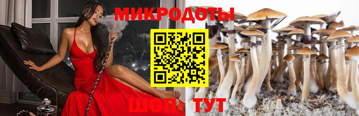 Галлюциногенные грибы ЛСД  где купить наркотик  Галлюциногенные грибы Magic Shrooms  Тула  Вход с VPN 